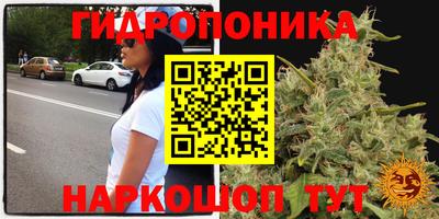 кокс Лесосибирск