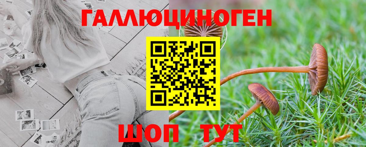 Жуковский  Псилоцибиновые грибы MAGIC MUSHROOMS  Вход с VPN  Псилоцибиновые грибы ЛСД 