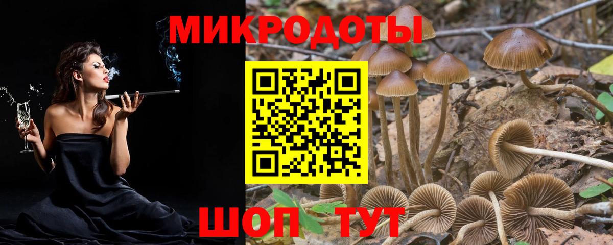 Галлюциногенные грибы GOLDEN TEACHER Жуковский